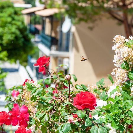 Apart Hotel Blumarin Άγιος Γόρδιος Εξωτερικό φωτογραφία